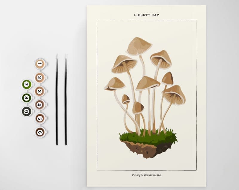 Mushroom Botanical | Modern Paint By Numbers Kit