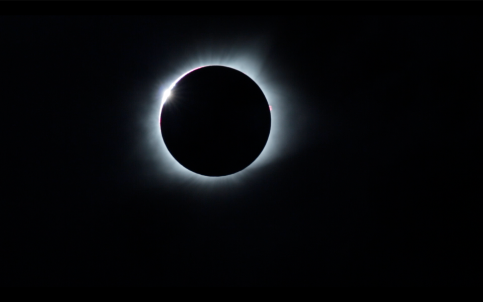 An image of the 2017 total solar eclipse.
