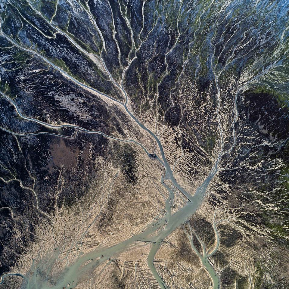 Tidal Area Covered With Algae, Moss and Grass, France. (Photo: Milan Radisic/Caters News)