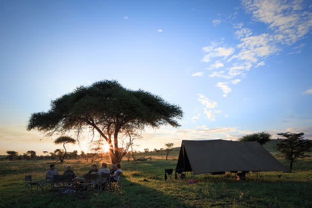 <p>Courtesy of Mark Thornton Safaris</p> Mark Thornton Safari's mobile camping