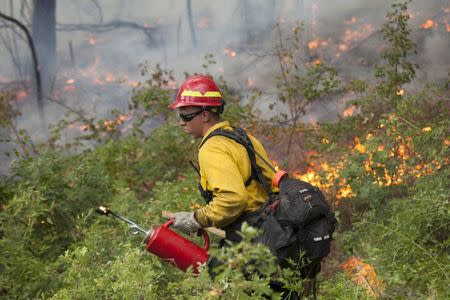 A firefighter works to create a controlled burn with a torch while battling the Carlton Complex Fire near Winthrop, Washington July 19, 2014. REUTERS/David Ryder