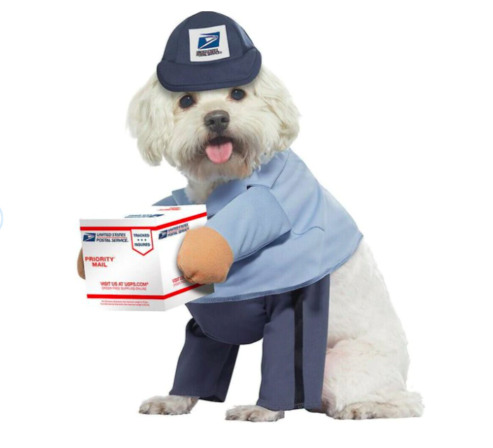 USPS Delivery Driver Dog Costume