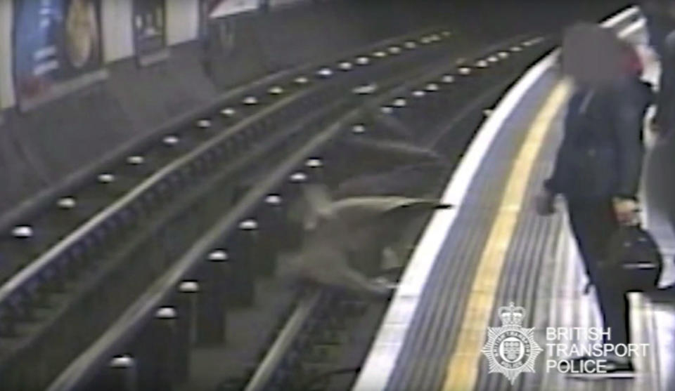 This undated handout grab taken from CCTV issued by British Transport Police shows Robert Malpas being pushed on to the tracks of Marble Arch Underground station in London.  A man has been convicted of attempted murder for pushing the former chairman of cross-Channel tunnel operator Eurotunnel onto London subway tracks. A jury found Paul Crossley guilty Friday, Oct. 5, 2018 of shoving 91-year-old Robert Malpas off a platform at Marble Arch station in April. Malpas suffered a fractured pelvis and a gash to his head. (British Transport Police via AP)