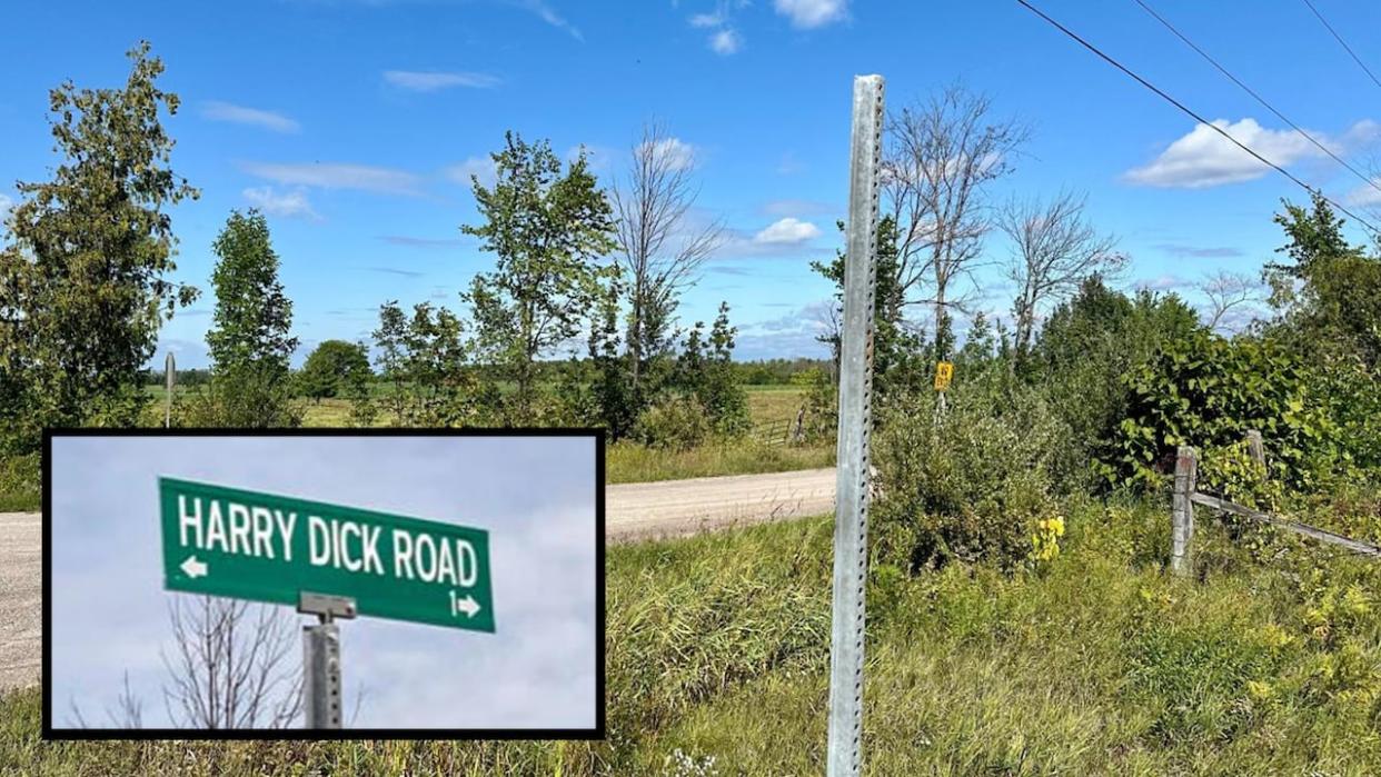 Sign of the crime: A steel post marks the spot near Eganville where thieves keep stealing the road sign for Harry Dick Road, inset. (Natalia Goodwin/CBC/Submitted - image credit)