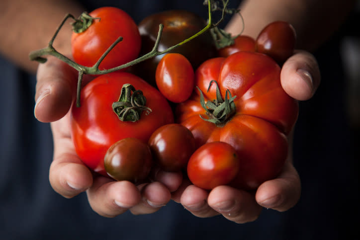 Auch Tomaten können zu einer schönen Bräune beitragen. Denn auch sie enthalten Carotinoide wie Lycopin. Dieser Stoff gibt der Tomate die rote Farbe. Carotinoide sind Antioxidantien, die der Haut zu einem gelblich-goldenen Ton verhelfen können. Daneben haben sie weitere gesundheitsfördernde Wirkung, sie helfen zum Beispiel bei der Zellerneuerung. (Bild-Copyright: Flavia-Morlachetti/GettyImages)