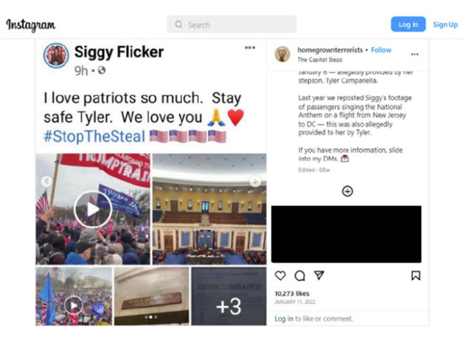 A screenshot of former Real Housewife Siggy Flicker’s Instagram account from the court affidavit concerning the January 6 allegations against her stepson (US District Court of the District of Columbia)