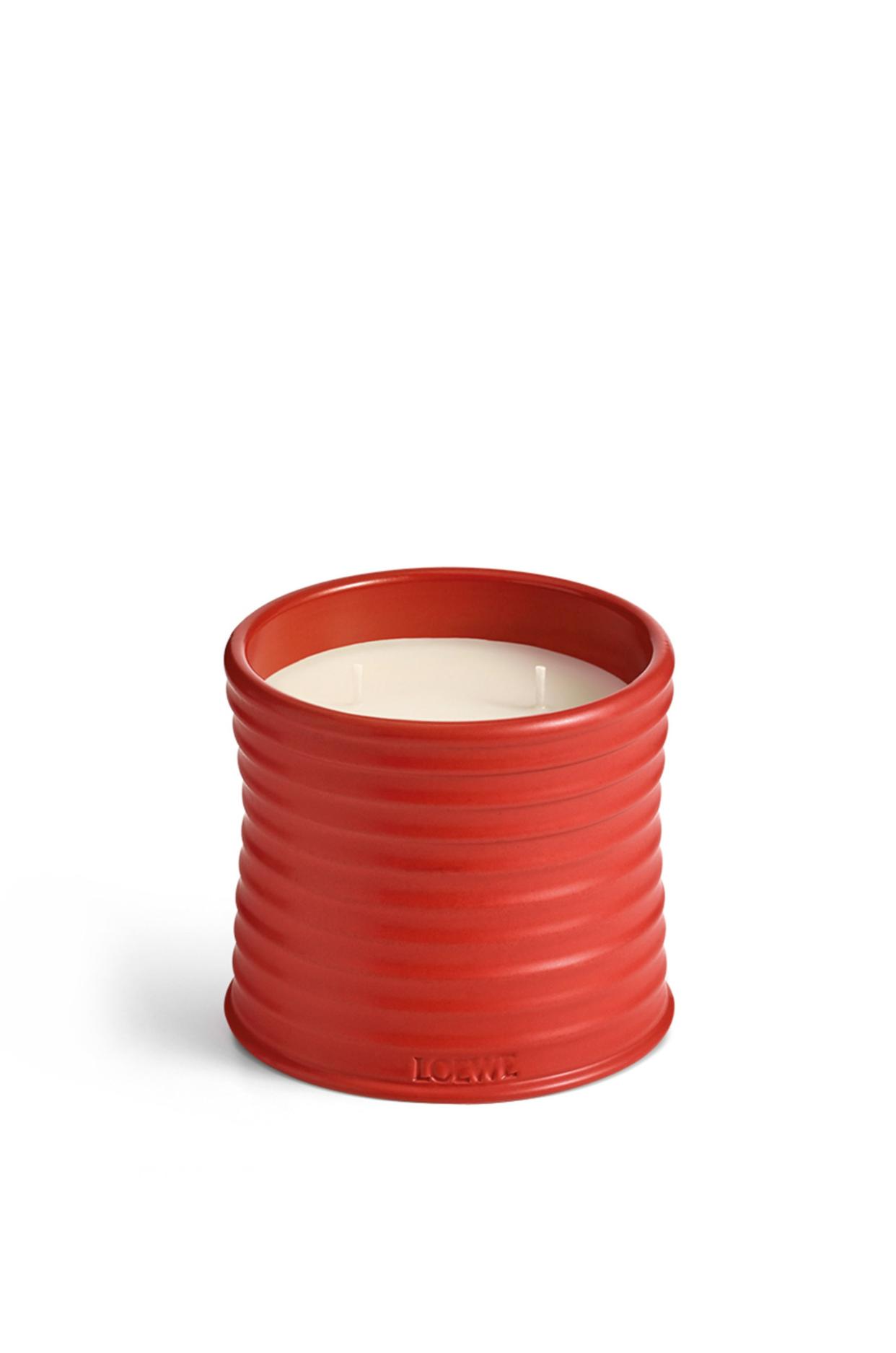 <p><a href="https://go.redirectingat.com?id=74968X1596630&url=https%3A%2F%2Fwww.loewe.com%2Fusa%2Fen%2Fwomen%2Fhome%2Fscented-candles%2Fmedium-tomato-leaves-candle%2FP000250X30-7100.html%3Fcgid%3Dw_candles%26p%3D43&sref=https%3A%2F%2Fwww.esquire.com%2Flifestyle%2Fg46988873%2Fbest-gifts-under-250%2F" rel="nofollow noopener" target="_blank" data-ylk="slk:Shop Now;elm:context_link;itc:0;sec:content-canvas" class="link rapid-noclick-resp">Shop Now</a></p><p>Tomato Leaves Candle</p><p>loewe.com</p><p>$245.00</p>