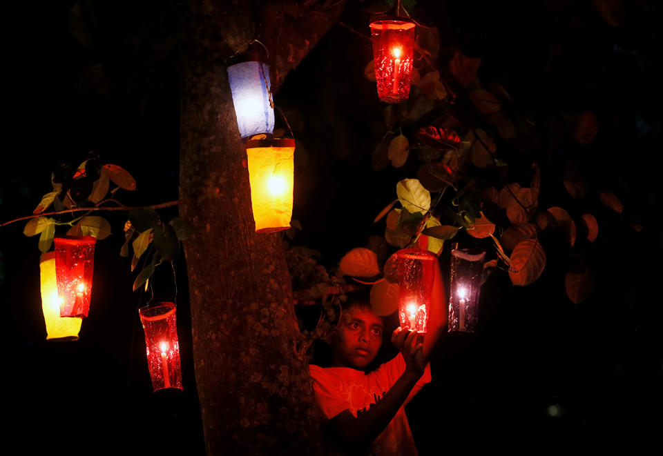 Boy hangs Vesak buckets on tree during Vesak Day in Colombo