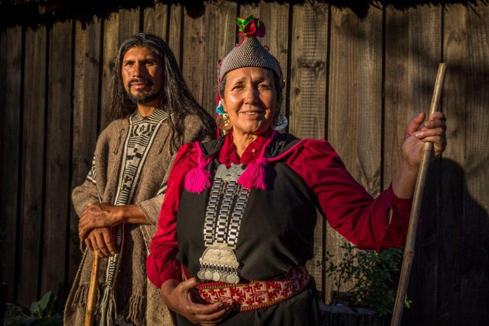 Mapuches