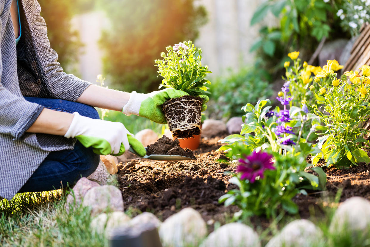 garden landscaping