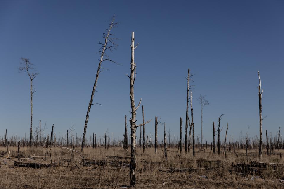 The Chornobyl zone near the Ukraine-Belarus border crossing (Getty Images)