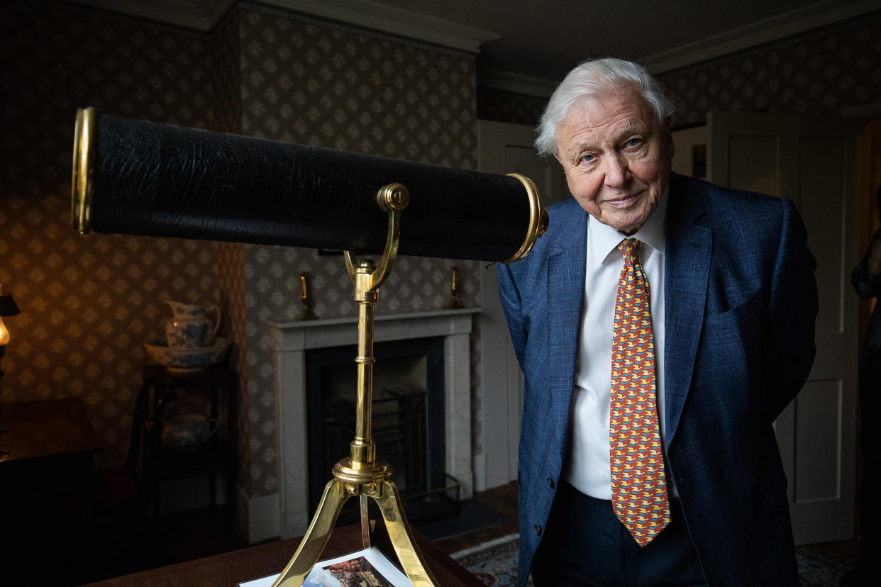 Sir David Attenborough opens the Turner and the Thames, Five paintings at the artists house in Twickenham on January 10, 2020 in London, England. (Photo by Tim P. Whitby/Getty Images)