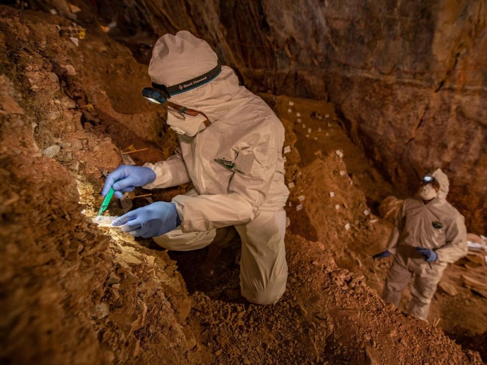 archaeology cave north america