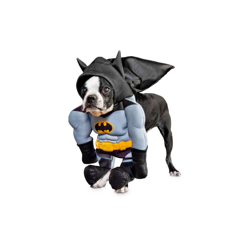 DC Justice League Batman Illusion Dog Suit, X-Small