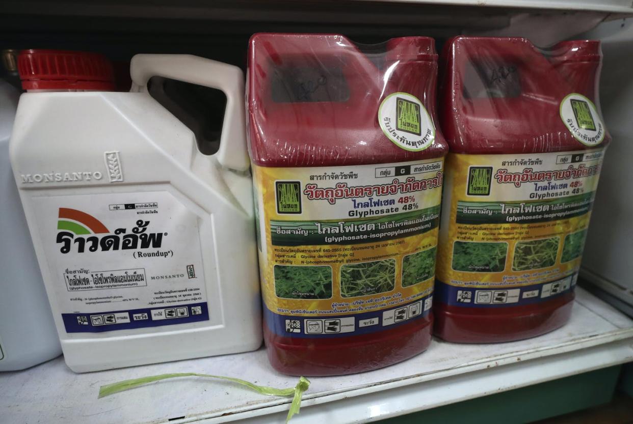 <span class="caption">Containers of the herbicide glyphosate at a farm supply store in northeast Thailand in 2019.</span> <span class="attribution"><a class="link " href="https://newsroom.ap.org/detail/ThailandChemicalBan/da01ccda97714aad8cd2edf54a67f3ac/photo" rel="nofollow noopener" target="_blank" data-ylk="slk:AP Photo/Sakchai Lalit;elm:context_link;itc:0;sec:content-canvas">AP Photo/Sakchai Lalit</a></span>