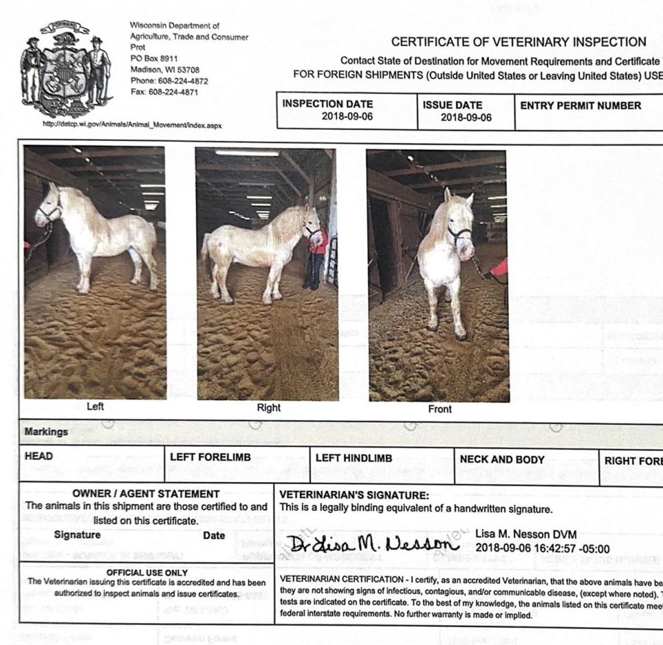 Photos of Ben Hur de Bernaville are shown on a Coggins Test,  a blood test to check for transmittable diseases in horses, which Lynn Gennrich had to get in order for the horse to cross state lines with Olissio Zoppe, founder of Cirque Ma'Ceo. The report is dated Sept. 6, 2018.