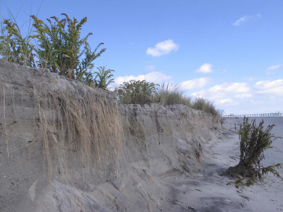 This Oct. 14, 2019, photo shows significant beach erosion in Ventnor, N.J. On Thursday, Dec. 30, 2022, Stewart Farrell, one of the nation's leading coastal scientists, is retiring after more than 50 years of studying and measuring beaches at the Jersey Shore. (AP Photo/Wayne Parry)