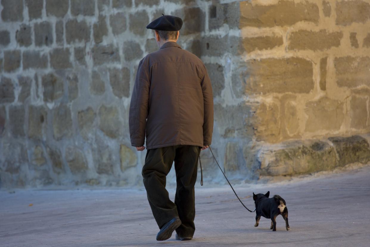 SPAIN - SEPTEMBER 15:  Old man walking his chihuahua dog in the streets of Laguardia, Northern Spain&#13;&#10;&#13;&#10;  (Photo by Tim Graham/Getty Images)