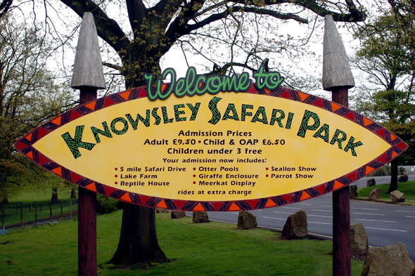 baby attacked by vulture at knowsley safari