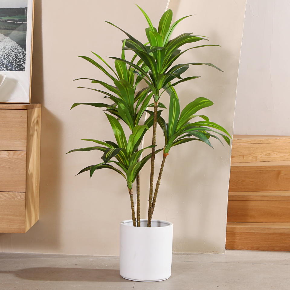 <p><a href="https://go.redirectingat.com?id=74968X1596630&url=https%3A%2F%2Fwww.walmart.com%2Fip%2FDR-Planzen-Artificial-Dracaena-Tree-4FT-Tall-Fake-Tree-Plants-Indoor-Trees-Office-Home-Living-Room-Floor-Patio-Greening-Porch-Decor-Set-1%2F1594564092&sref=https%3A%2F%2Fwww.countryliving.com%2Fshopping%2Fg46989154%2Fbest-walmart-furniture%2F" rel="nofollow noopener" target="_blank" data-ylk="slk:Shop Now;elm:context_link;itc:0;sec:content-canvas" class="link ">Shop Now</a></p><p>4-Foot Artificial Dracaena Tree</p><p>walmart.com</p><p>$39.99</p>