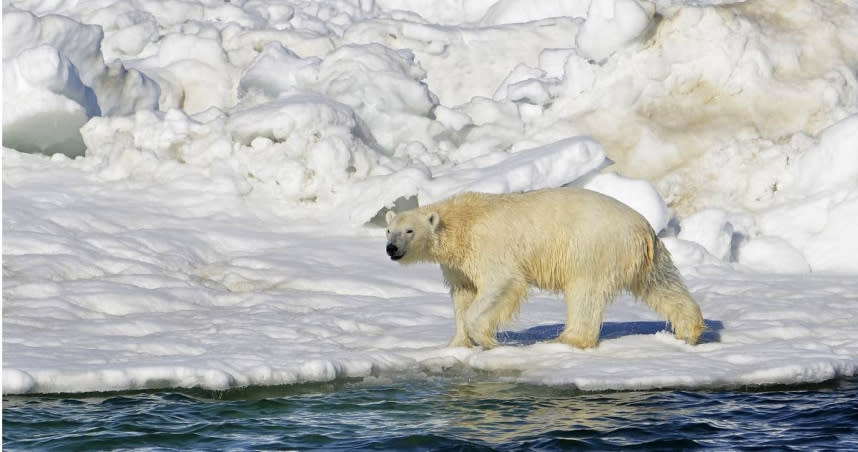 科學家最新研究表示，北極海的冰最快在2030年9月會完全消失。（示意圖／美聯社）