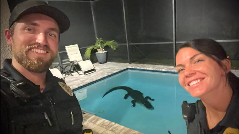 NSB police remove alligator