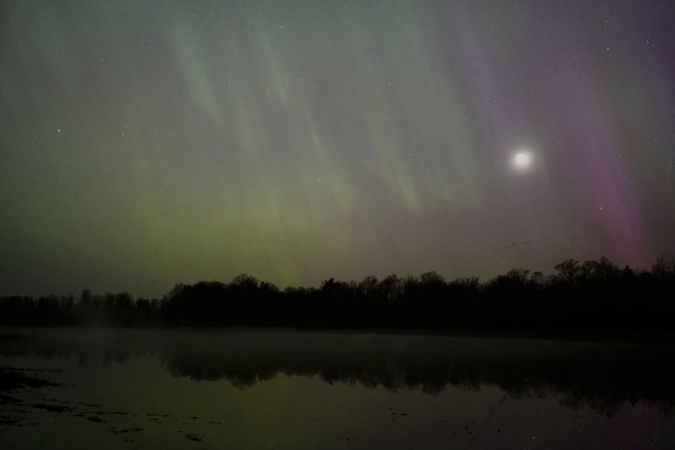 The northern lights glow in the sky over St. Croix State Forest near Markville, Minn., late Friday, May 10, 2024. (AP Photo/Mark Vancleave)