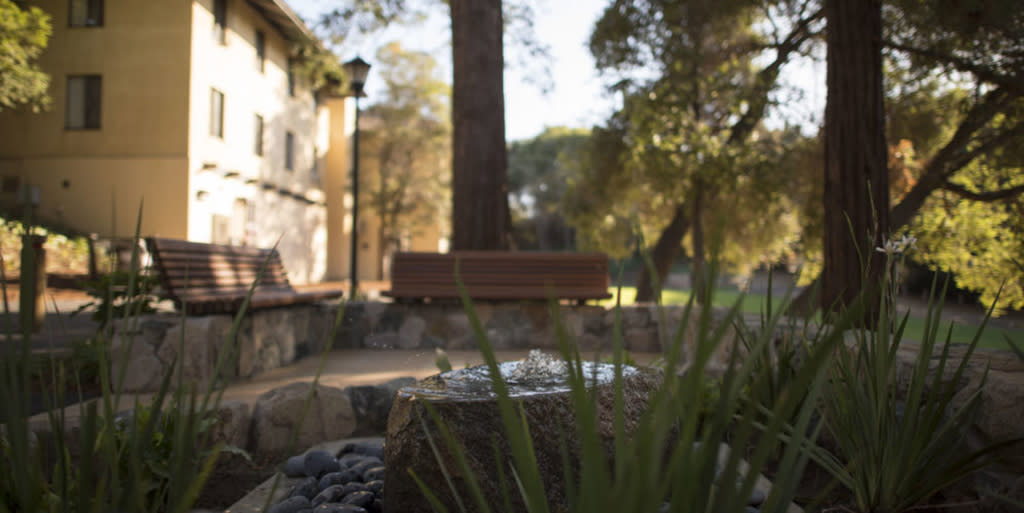 The dumpster site at Stanford University where Brock Turner sexually assaulted a woman has been turned into a quiet garden and memorial. (Photo: the Stanford Daily)