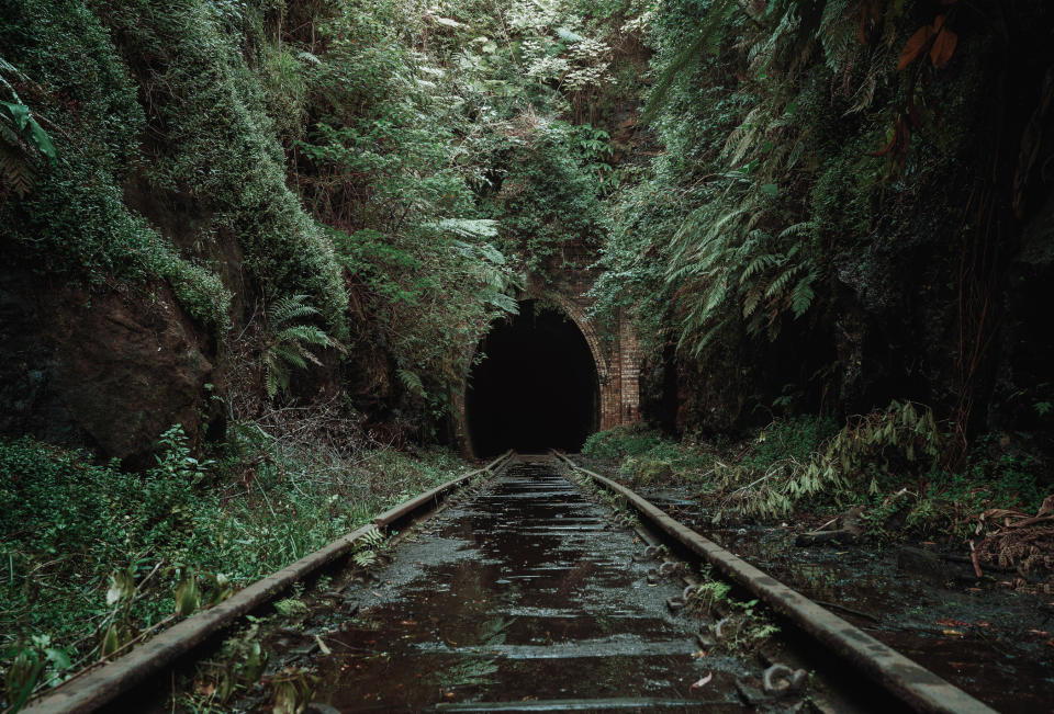 Old, abandoned railway tunnel in the middle of tropical forest