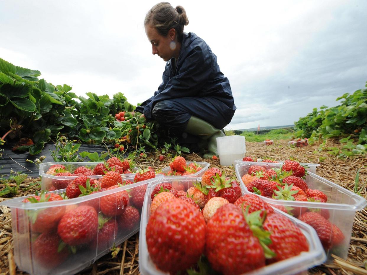 Migrant workers send back £8bn a year to family members back home: PA