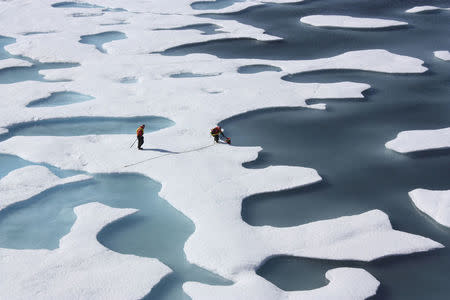 The crew of the U.S. Coast Guard Cutter Healy, in the midst of their ICESCAPE mission, retrieves supplies in the Arctic Ocean in this July 12, 2011 NASA handout photo. Kathryn Hansen/NASA via REUTERS