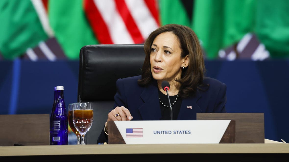 U.S. Vice President Kamala Harris speaks at a working lunch at the U.S.-Africa Leaders Summit on December 15, 2022 in Washington, D.C. (Photo by Anna Moneymaker/Getty Images)