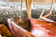 <p>The bathtub is also a unique creation, it is carved out of a tree trunk. <br> (Airbnb) </p>