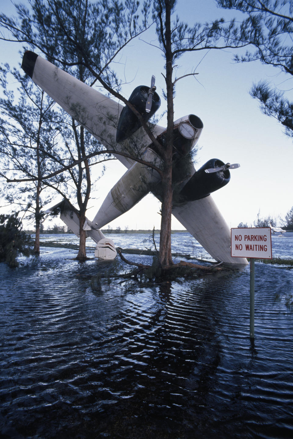 Partial plane crash beside a tree in a waterlogged area with a "No Parking No Waiting" sign in the foreground