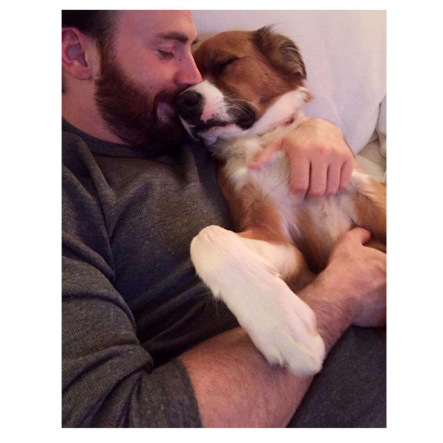 Chris Evans Gets His Dog Dodger a Matching Shirt from The Gray Man