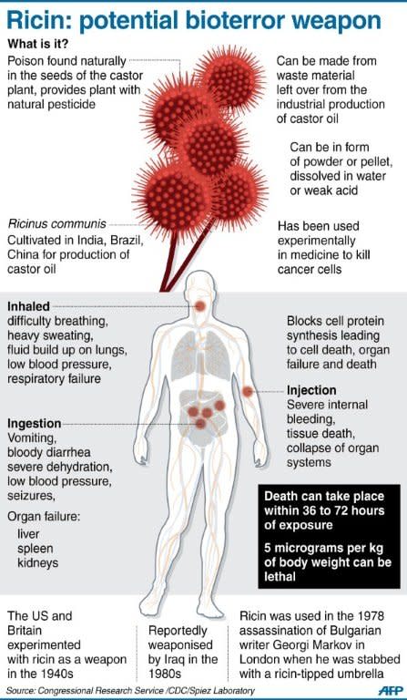 Graphic fact file on the deadly poison ricin, found in a letter addressed to a President Barack Obama and a US senator