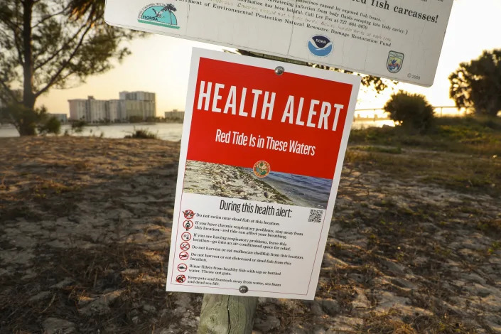 A health alert sign warns visitors to Sand Key Park of the presence of Red Tide in the surrounding water on Thursday, March 9, 2023, in Pinellas County, Fla. Florida's southwest coast experienced a flare-up of the toxic red tide algae this week, setting off concerns that it could continue to stick around for a while. The current bloom started in October. (Douglas R. Clifford/Tampa Bay Times via AP)