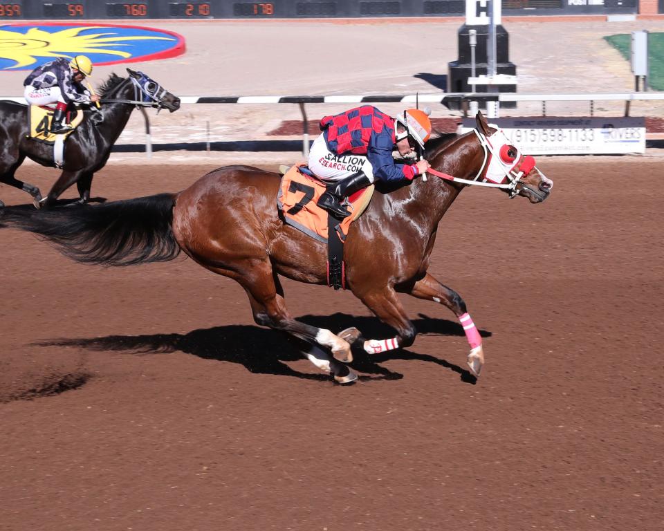 Lethal Avenger qualified for the West Texas Derby at Sunland Park Racetrack & Casino.