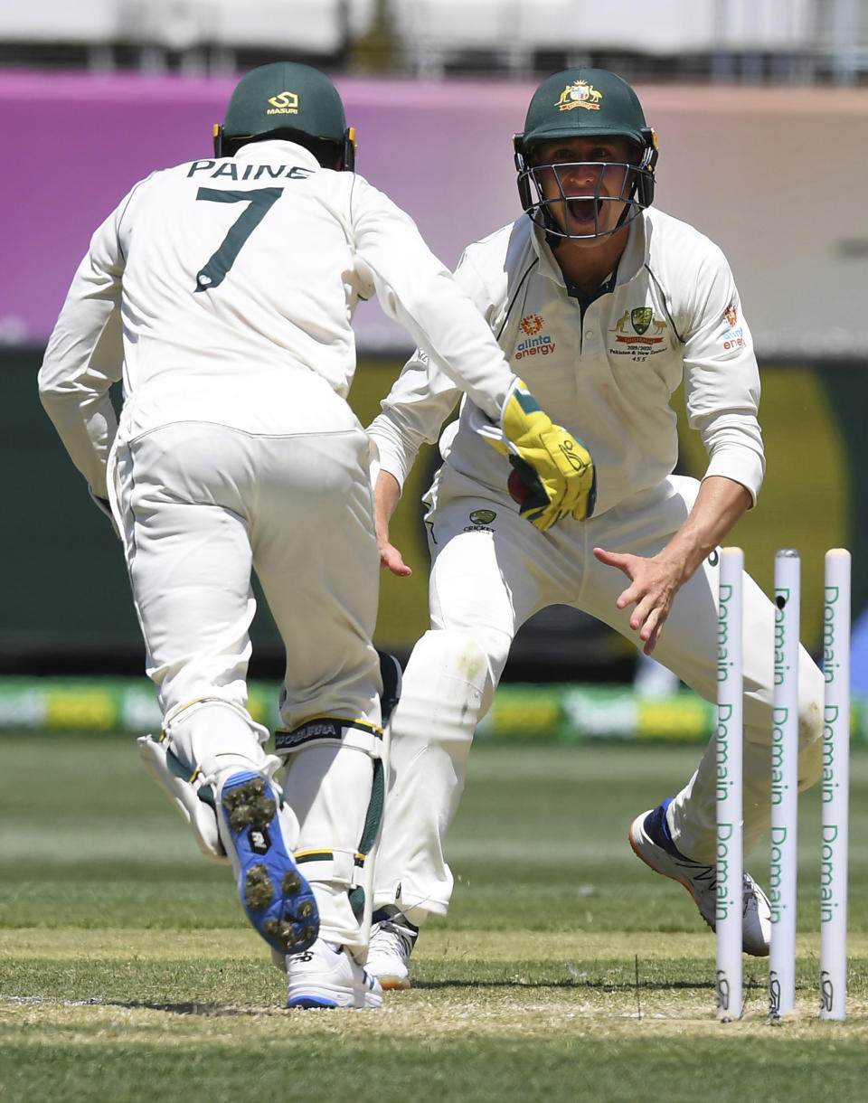 Australia's Tim Paine, left, celebrates with teammate Marnus Labuschagne, right, after stumping out New Zealand's Henry Nicholls during play in their cricket test match in Melbourne, Australia, Sunday, Dec. 29, 2019. (AP Photo/Andy Brownbill)