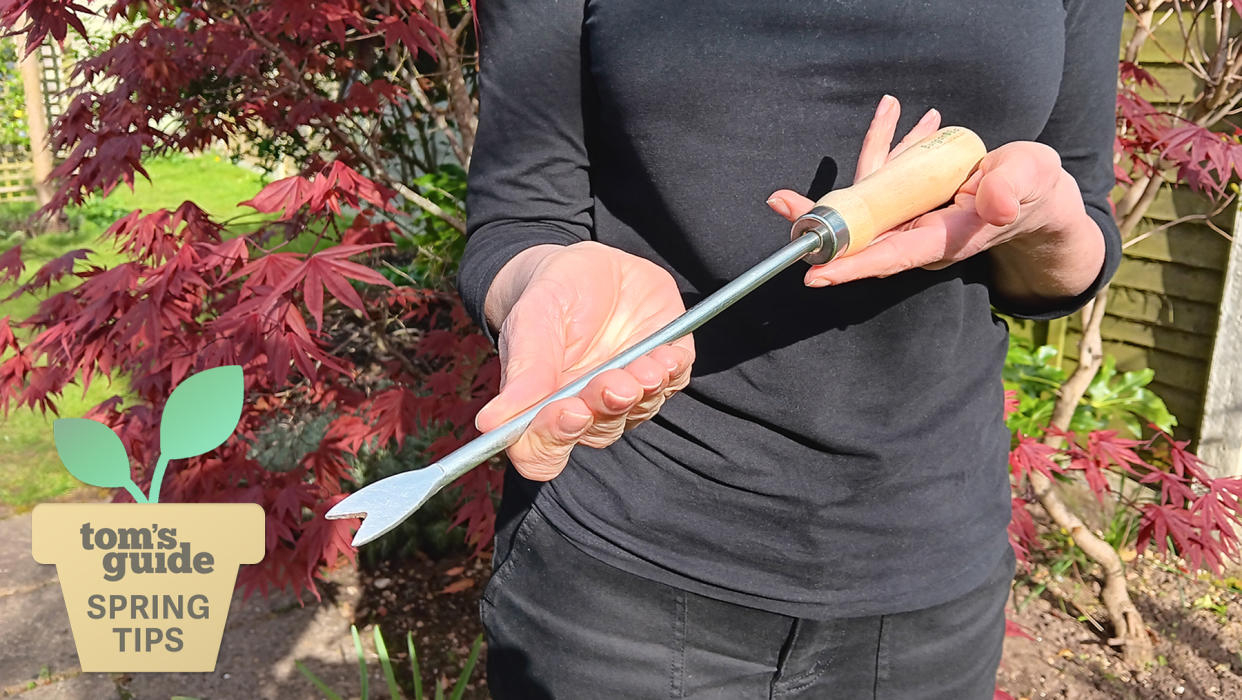  Wiriter holding dandelion weeding tool with Spring Tips logo in bottom left hand corner. 