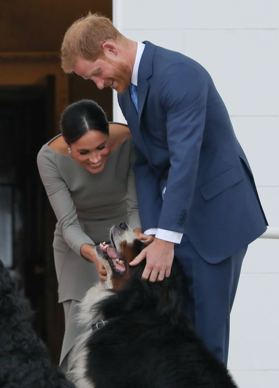 Britain's Prince Harry (R) and wife Meghan (2R), Duke and Duchess of Sussex greet the dogs of Ireland's President Michael Higgins and wife Sabina on arrival at the Presidential mansion on the second day of their visit in Dublin on July 11, 2018. (Photo by MAXWELLS / POOL / AFP)        (Photo credit should read MAXWELLS/AFP/Getty Images)