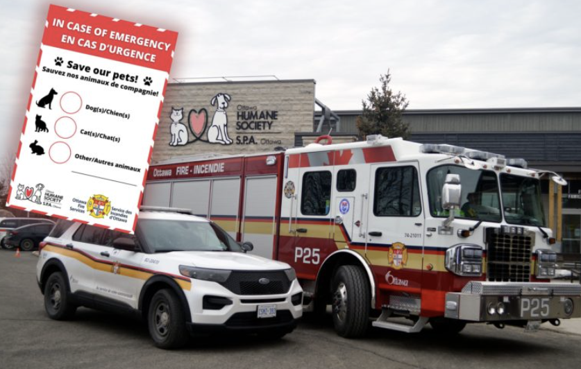 Ottawa Fire Services and the OHS have teamed up to save lives by creating and distributing a simple decal. (Courtesy: Ottawa Humane Society)