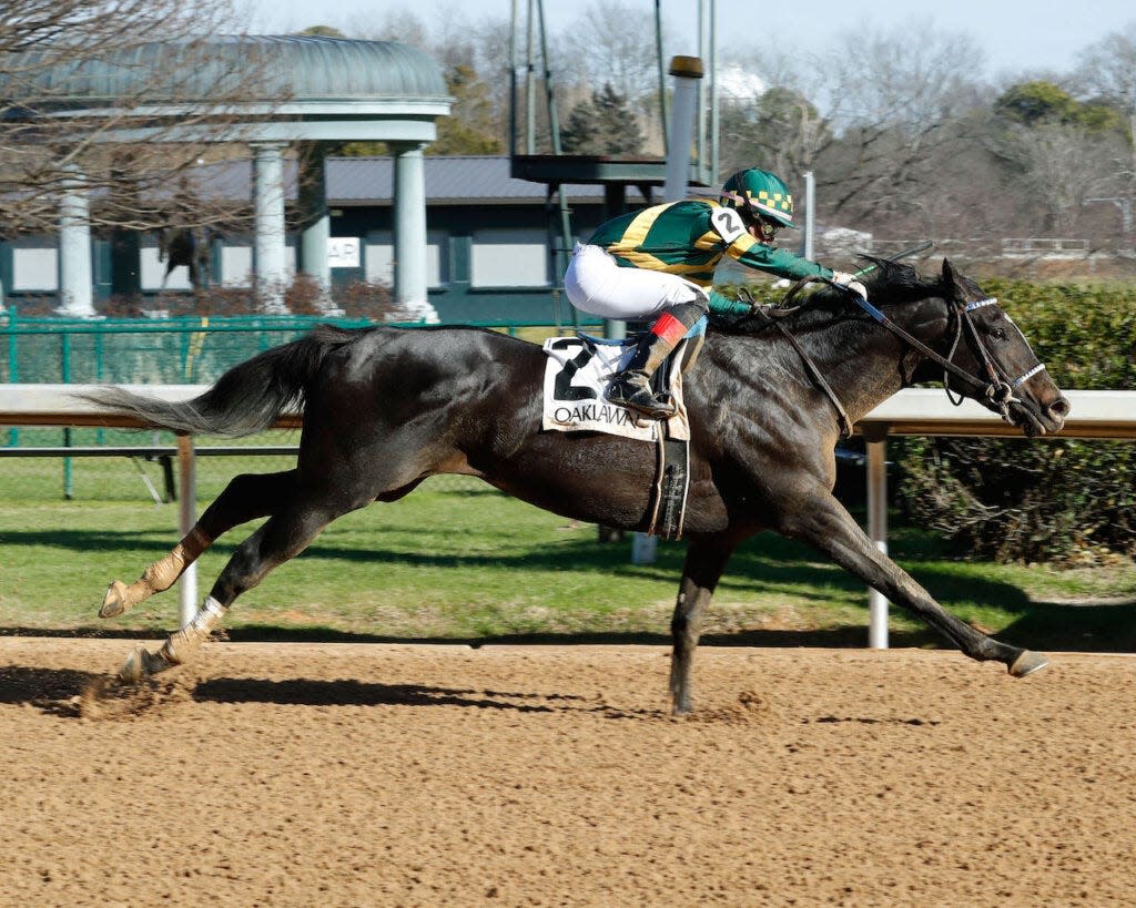 Common Defense and jockey Cristian Torres win a maiden race Jan. 13 at Oaklawn Park.