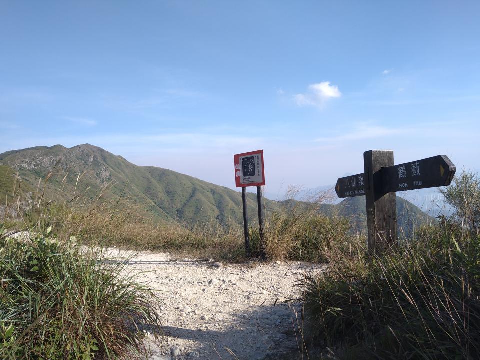 行山路線｜「黃嶺」新界東北的最高點！群山環抱一覽八仙嶺美景