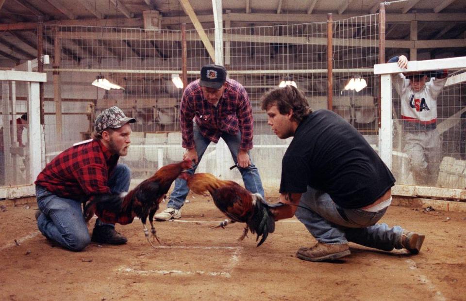 Bill Thomas, left, and Thomas Begley, with Derrick Foresman as referee, started a cockfighting match on a farm near Spears in 1992.