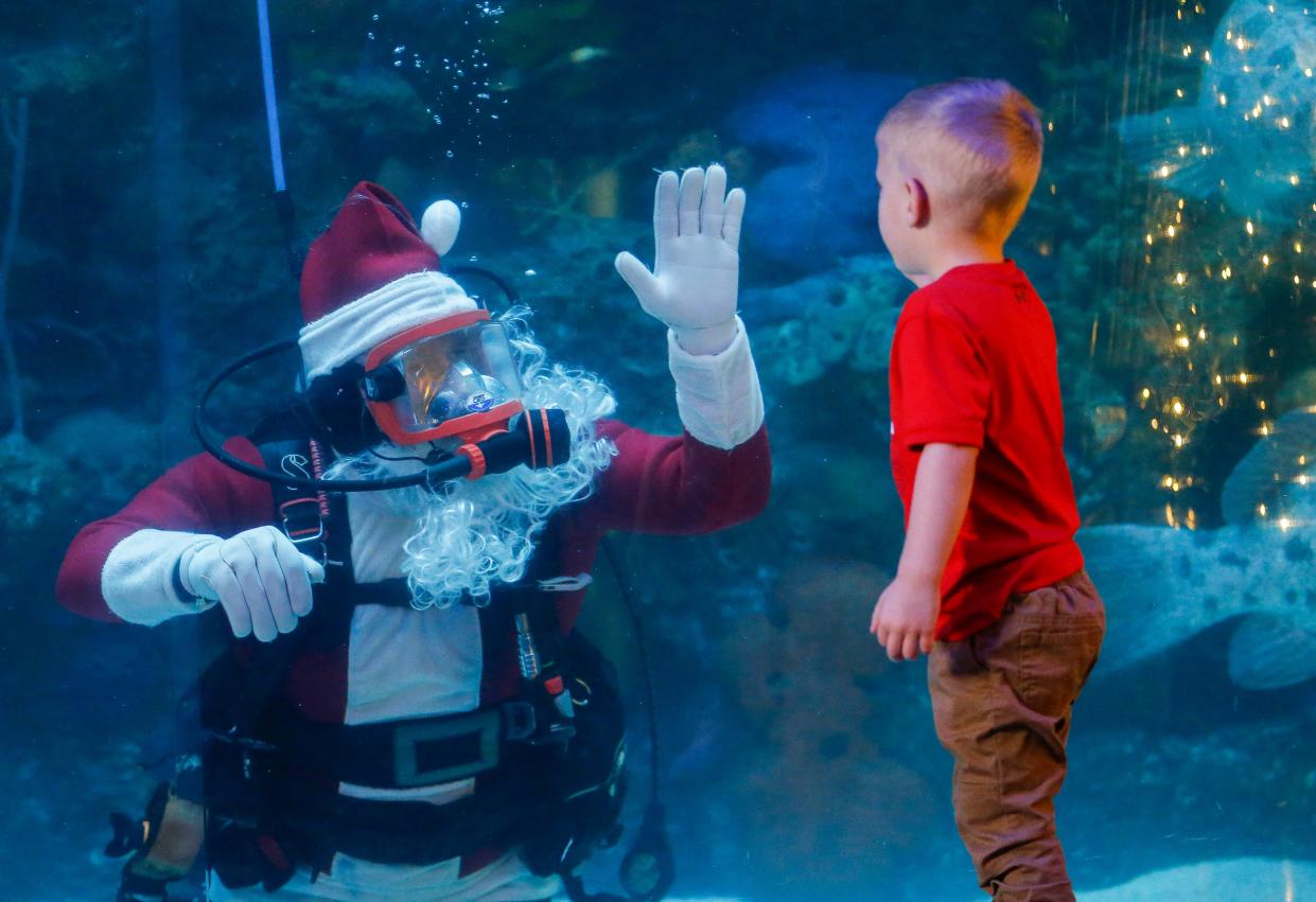 Scuba Claus drops into the fish tank at Wonders of Wildlife National Museum & Aquarium on Wednesday, Dec. 1, 2021. Scuba Claus will return to the aquarium on Dec. 7, Dec. 15, and Dec. 21. 