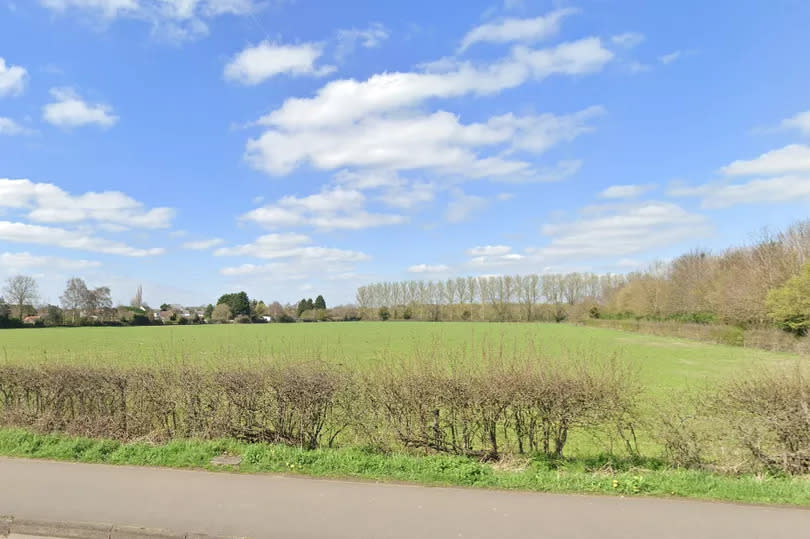 A green field, with tree and houses in the background.