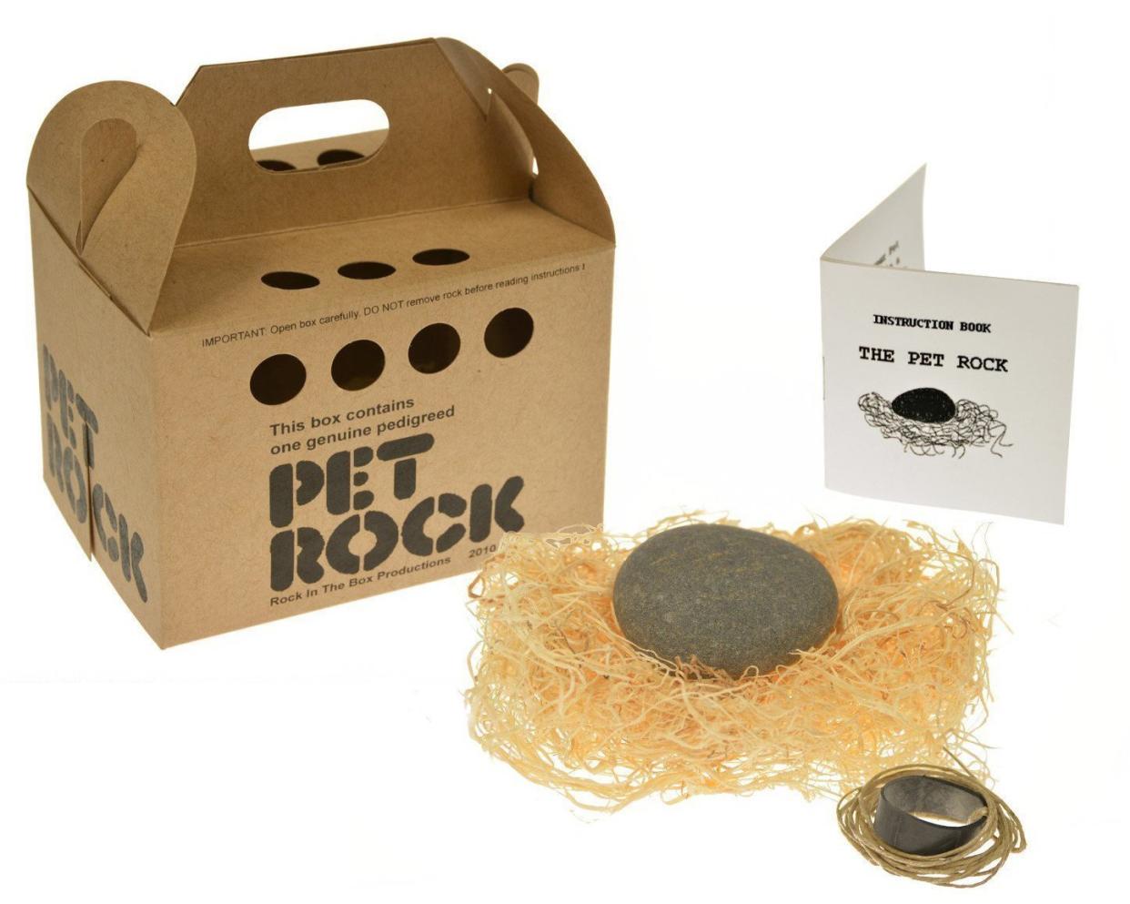 Pet Rock next to its box