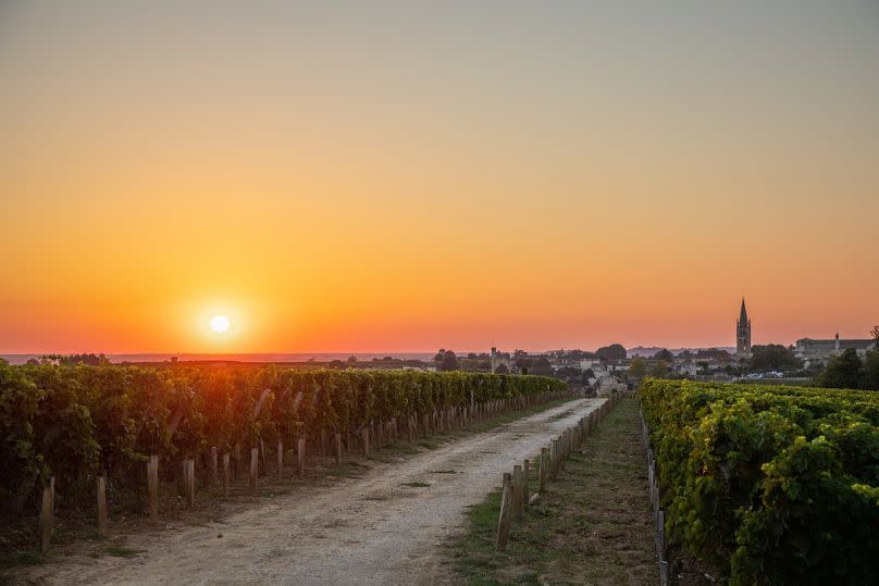 The view of Saint Emilion from the Chateau Troplong Mondot