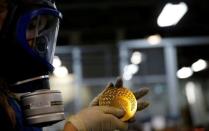 A worker from the Casa da Moeda do Brasil (Brazilian Mint) checks a Rio 2016 Paralympic medal in Rio de Janeiro, Brazil, June 28, 2016. REUTERS/Sergio Moraes